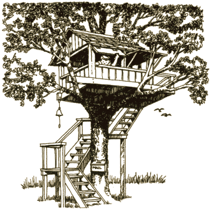 House on a tree..the zen way